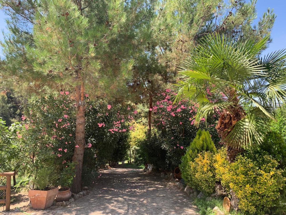 Cortijo La Julia Villa Orcera Bagian luar foto